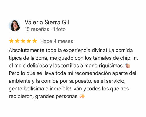 Reseña Google 1