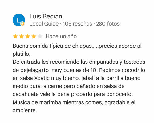 Reseña Google 2