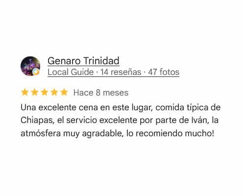 Reseña Google 3